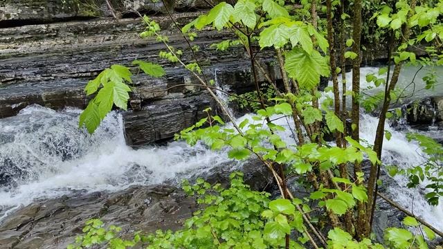 VID_20250426_114029