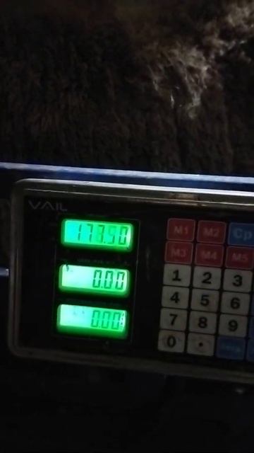 Дракула потихоньку набирает вес сегодня 178 кг. живой в?
