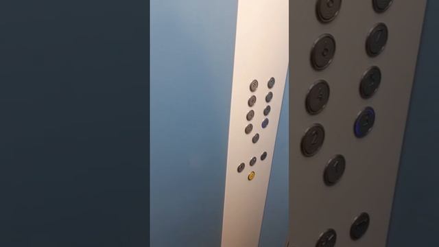 WhatsApp Video 2025-05-12 at 10.36.40