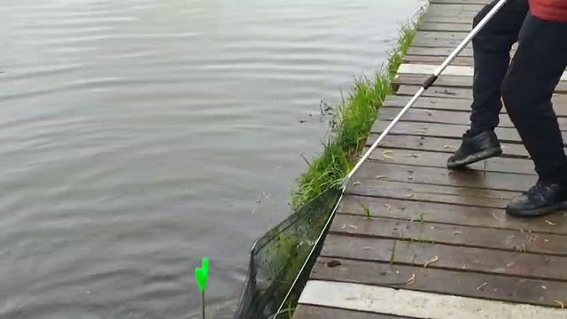 Утро,Карпуша