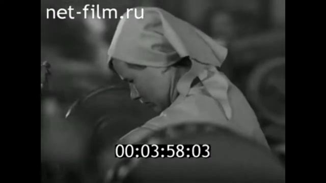 1969г. Вологда. льнокомбинат