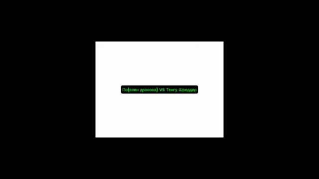 По(воин Дракона) vs Тенгу Шредер (2003)