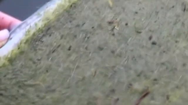 Grass And Dandelion Paper бумага из травы и одуванчиков