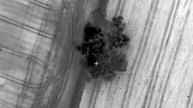 Российская армия ночью нанесла удар по военному аэродрому в Николаевской области