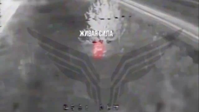 ❌Уничтожение живой силы ВСУ дроноводами из "Рубикона"…