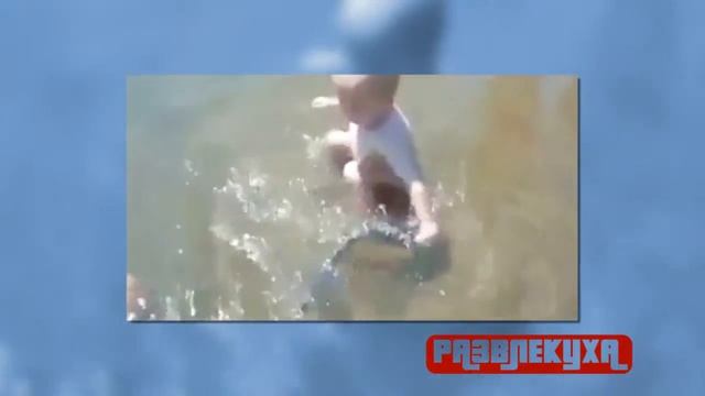 Приколы. Малыш и змея. | Razvlekuxa