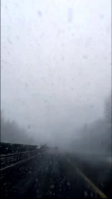 Снова пришли снегопады в Новгородскую область