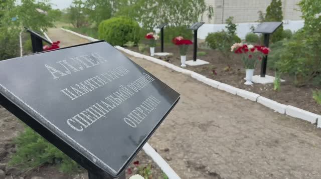 В школе х. Красного открыли аллею памяти героев специальной военной операции