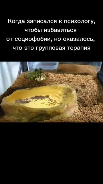 Проработка социофобии