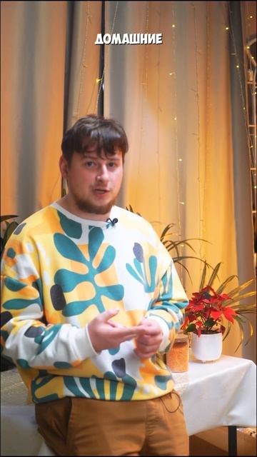 Зимний режим для растений ✔️ 2 совета для растений зи?