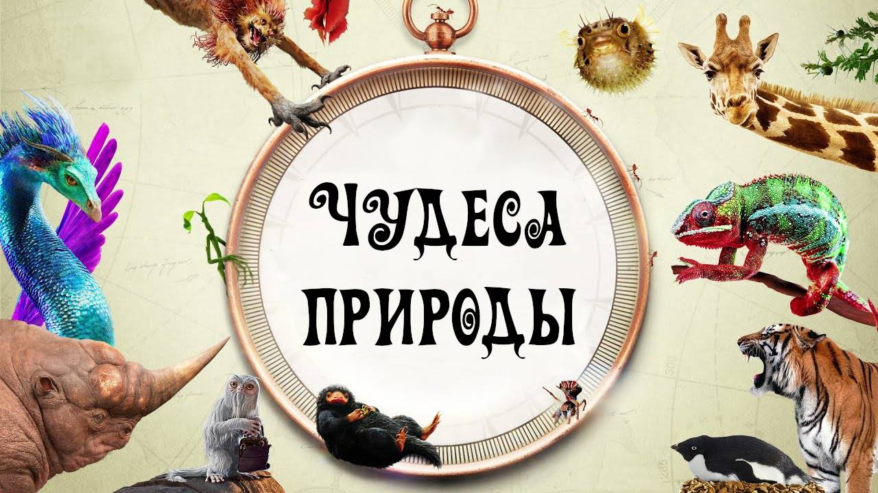 Чудеса природы