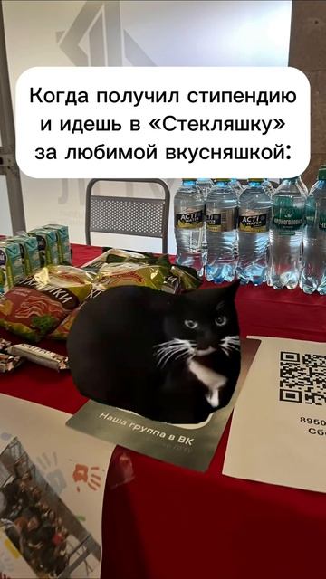 Когда ты получил стипендию
