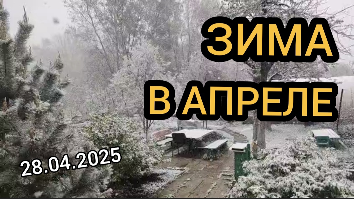 Зима в апреле. 28.04.2025