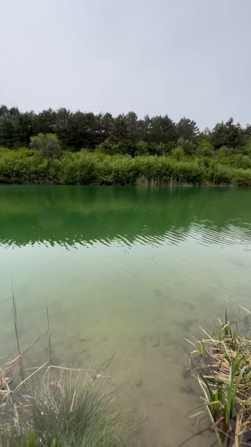 Природа Крыма | окрестности Симферополя.