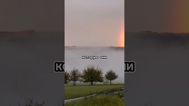 Каких знаков ждёт большое счастье в ближайшие 365 дней!