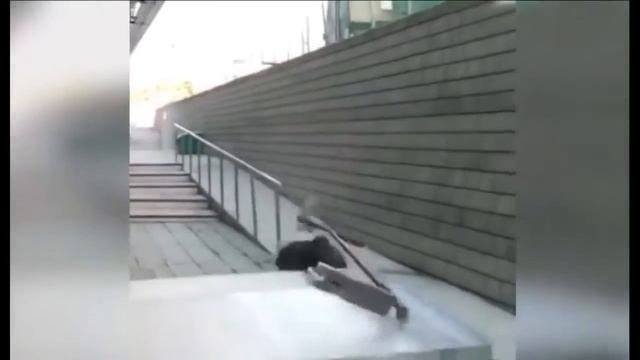 Самые лучшие  приколы 100%.  Тест на психику. Дебилы 80 уровня