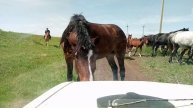 Попал в живую ,,пробку".