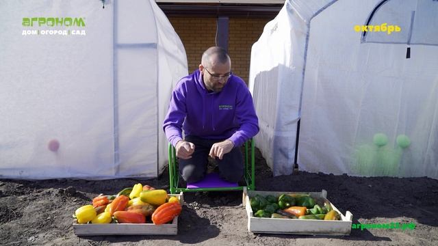 Сравнение теплиц Русской и Американской. 4 часть.