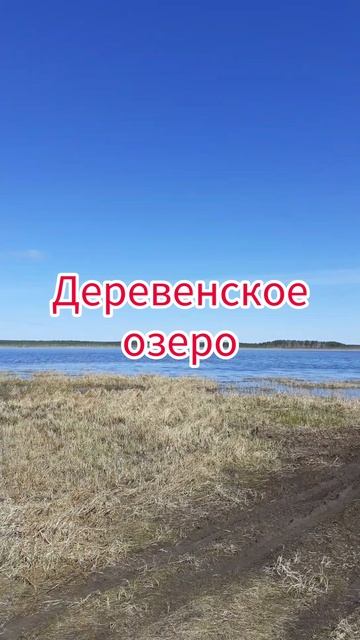 InShot_20250511_223606844.mp4