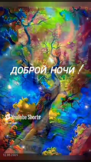 VID_20250512211412