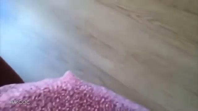Самое смешное видео Приколы ржач Смешные приколы, СМОТРЕТЬ ВСЕМ