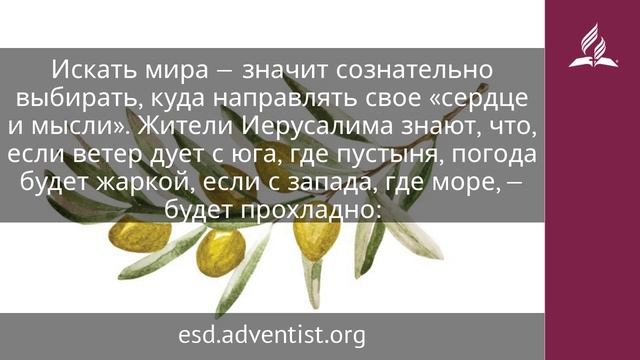 13 мая 2025. Мир Божий. Под сенью благодати _ Адвентисты