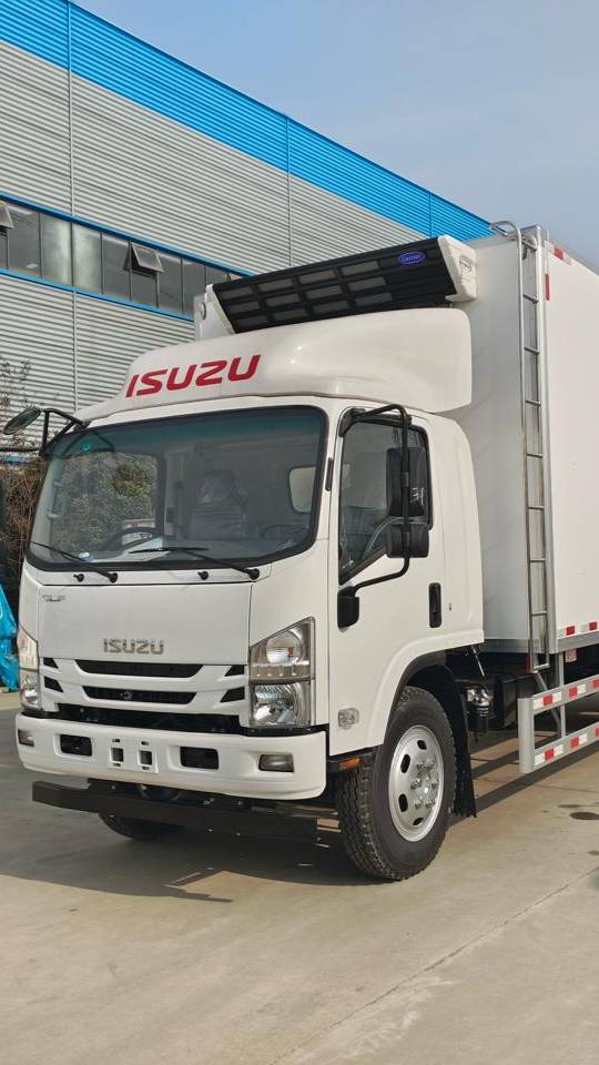 Isuzu Elf рефрижератор с ХОУ Thermo King RV-1200C от компании Милларда (г. Краснодар)