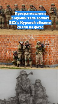 Превратившиеся в мумии тела солдат ВСУ в Курской области сняли на фото