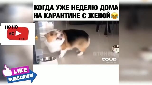 КАРАНТИН СМЕХ ДО СЛЕЗ ЛУЧШИЕ РУССКИЕ ЛЮТЫЕ ПРИКОЛЫ 2020