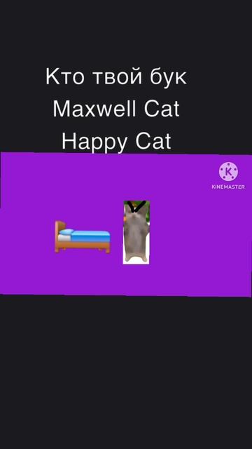 Кто твой бук Maxwell Cat Happy Cat