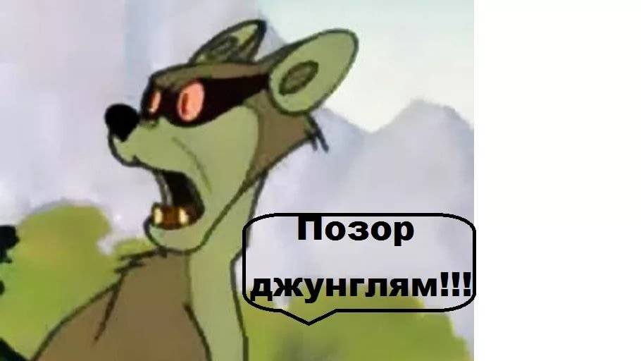 Позор моей команде