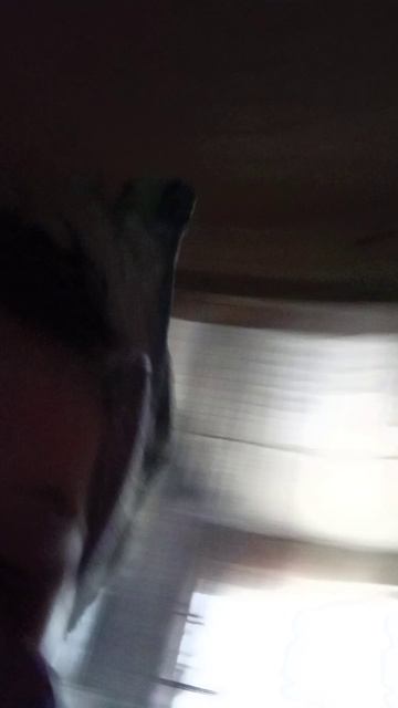 1000017775.mp4