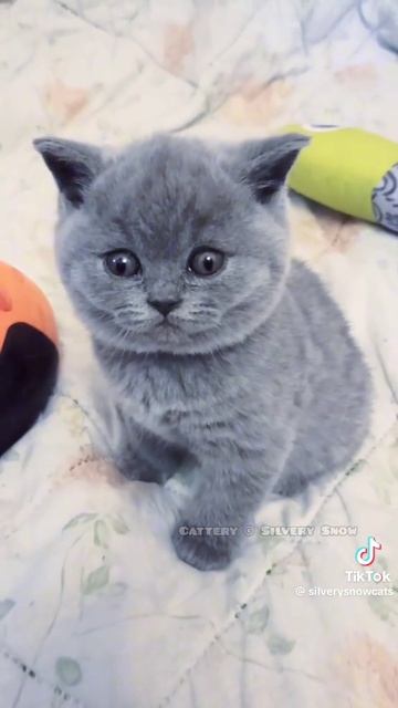 1000007351.mp4