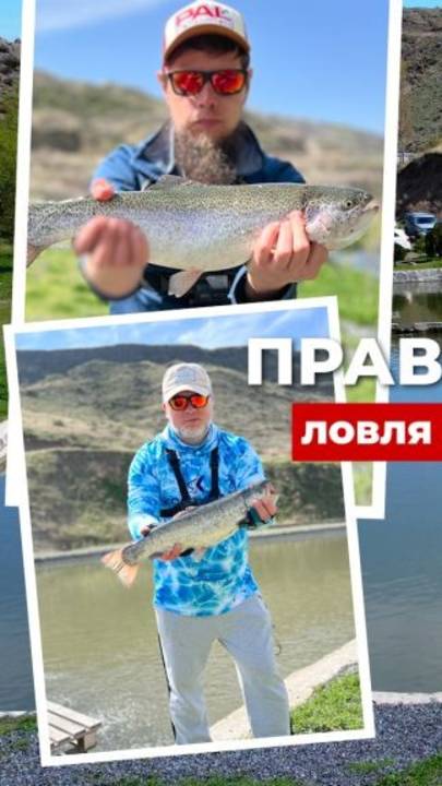 Первый правильный платник в Армении. Ловля прудовой форели.