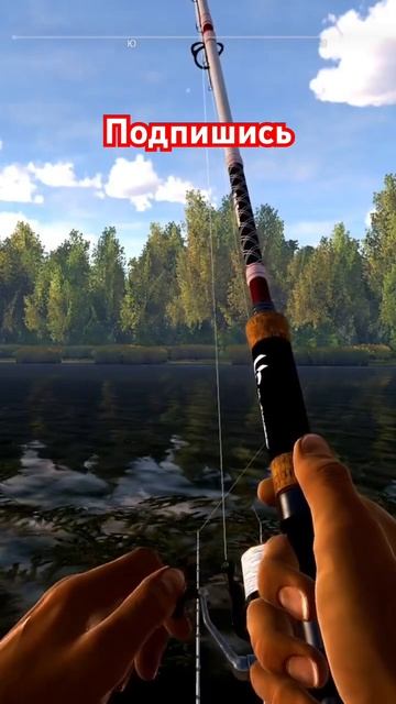Огромный сом (Fishing planet) Ахтуба