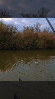 вываживание мелкого карпа на поплавок #carpfishing #рыбалка