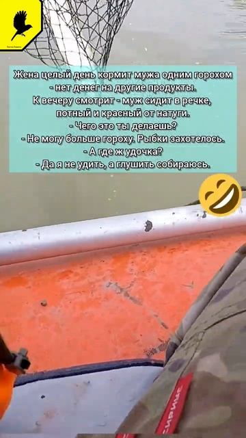 Щука с лодки #судак #рыбалка #язь #карась #окунь #сазан #?
