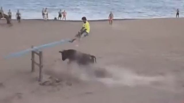 image прикол  бык коррида на песку 2 парня