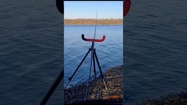 Январьский карась на ТЭЦ 5  Открытие 08.01.2025