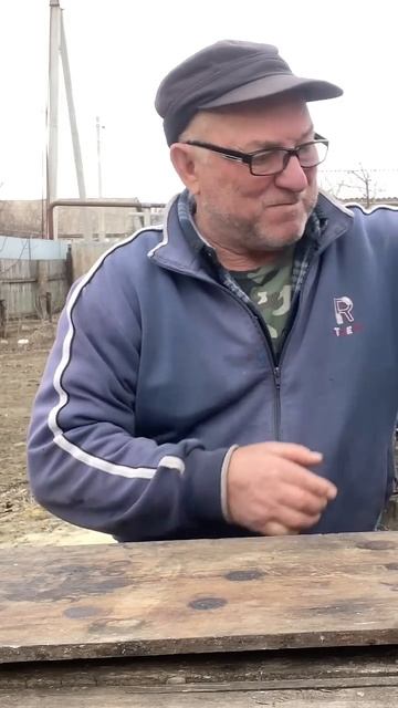 …это же сазан#юмор #топ #рыбалка #рыба #природа #shortvideo