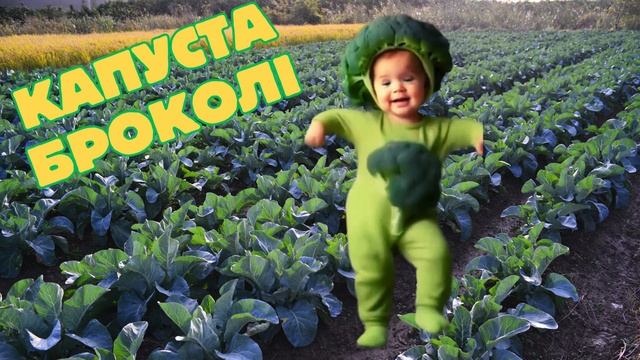РУХАНКА "Веселі  овочі"
