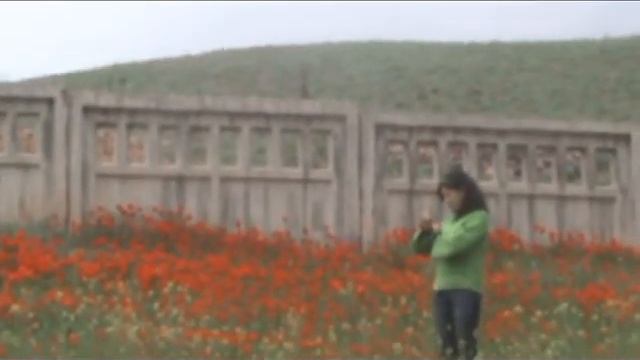 Табошар Бахтиёр Репер