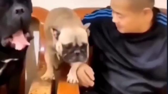 Держи меня! Я порву его сейчас