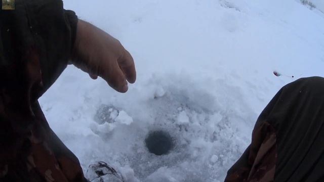 Рыбалка 5 апреля.