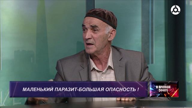 В прямом эфире. Сезон клещей