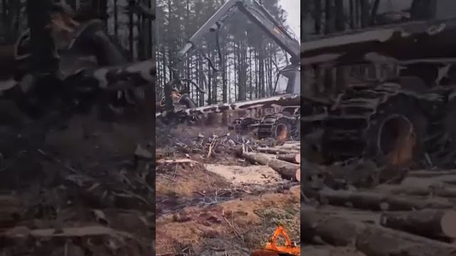 Можно мне такую игрушку?