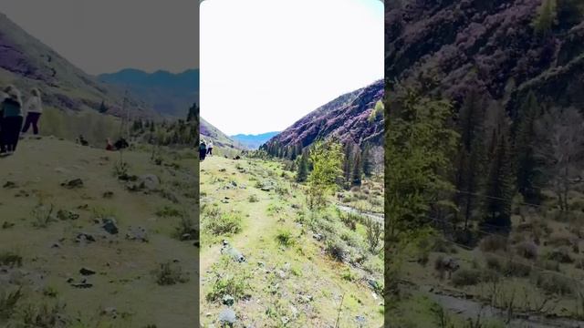 Маленькое путешествие по Чуйскому тракту
