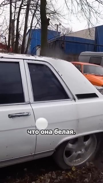 TG: nexpertGM История белой Чайки из гаража Рейсы #shorts #оживление #automobile #юмор