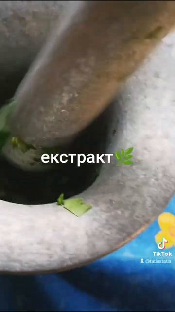 ступа полинь екстракт