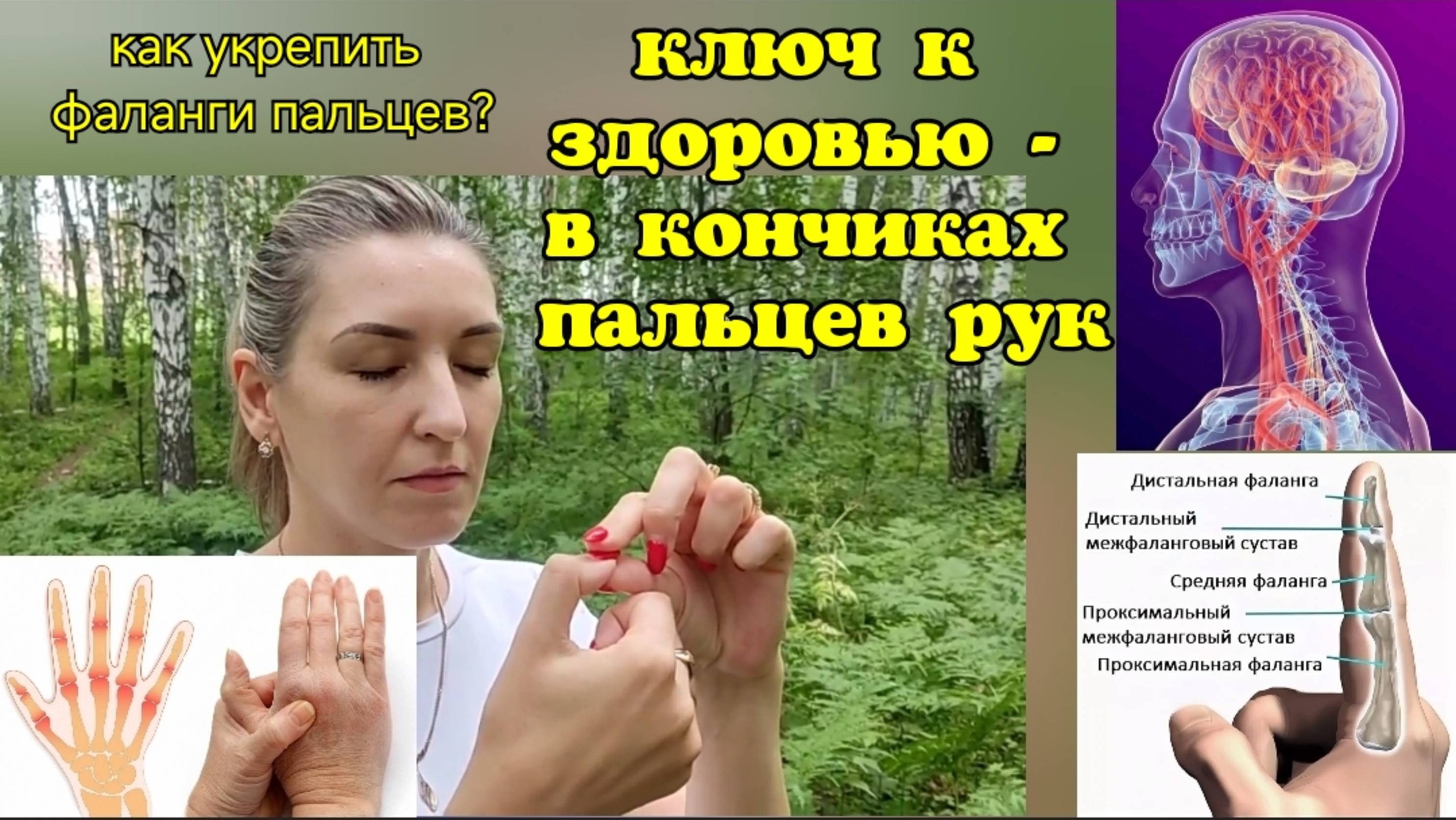 Мозг деградирует из-за скованности дистальных фаланг пальцев. Осевые упражнения